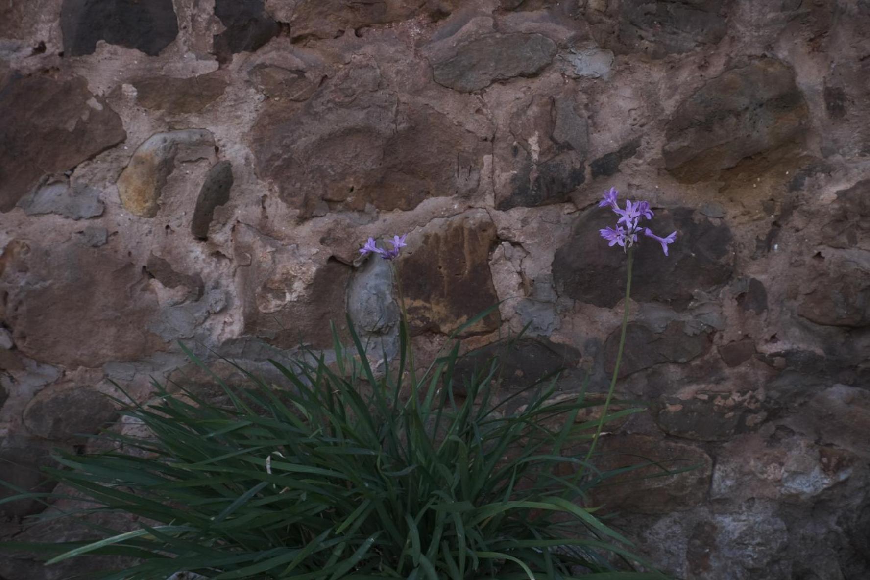 Posada La Estela De Barros Corrales De Buelna ภายนอก รูปภาพ